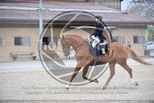 ref. photo 3591251