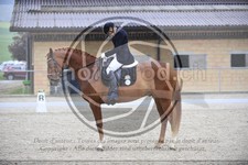 ref. photo 3591260