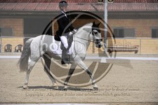 ref. photo 3591331