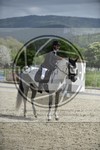 ref. photo 3591370