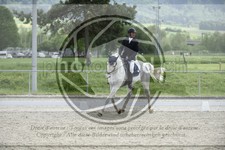 ref. photo 3591408