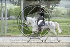 ref. photo 3591417