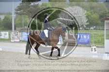 ref. photo 3591452