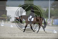 ref. photo 3591524