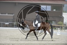 ref. photo 3591526
