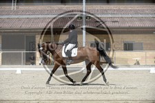 ref. photo 3591537