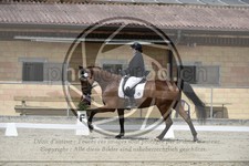 ref. photo 3591545