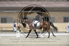 ref. photo 3591550