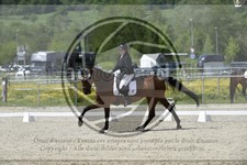 ref. photo 3591553