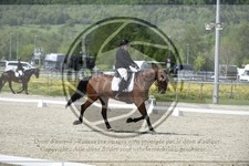 ref. photo 3591556
