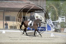 ref. photo 3591562