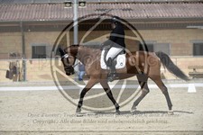 ref. photo 3591567