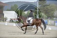 ref. photo 3591590