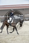 ref. photo 3591630