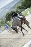 ref. photo 3591633