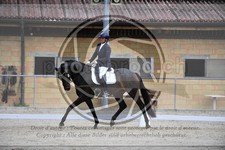 ref. photo 3591684