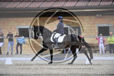 ref. photo 3591695