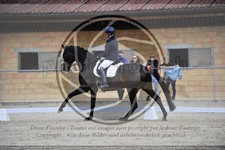 ref. photo 3591696