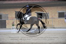 ref. photo 3591697