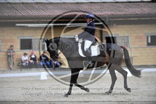 ref. photo 3591710