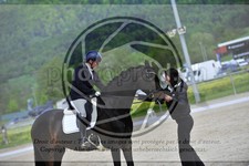 ref. photo 3591716