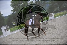 ref. photo 3591793