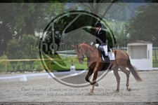 ref. photo 3591802
