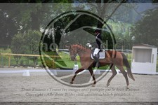 ref. photo 3591810