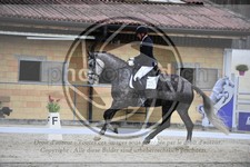 ref. photo 3591844