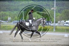 ref. photo 3591851
