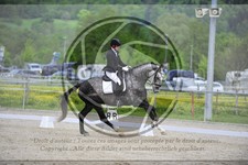 ref. photo 3591860