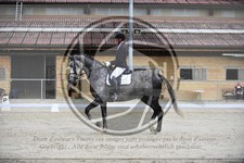 ref. photo 3591871