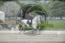 ref. photo 3592059