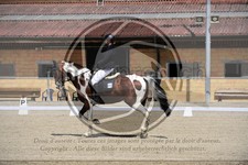 ref. photo 3592093