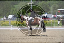 ref. photo 3592115