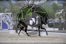 ref. photo 3592128