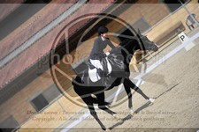 ref. photo 3592158