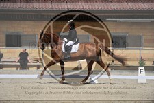 ref. photo 3592244