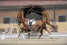 ref. photo 3592249