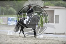 ref. photo 3592331