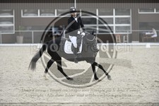 ref. photo 3592333