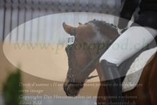 ref. photo 3379418