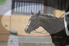 ref. photo 3379473