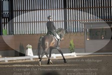 ref. photo 3379495