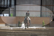 ref. photo 3379496