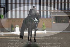 ref. photo 3379507