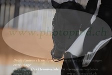 ref. photo 3379513