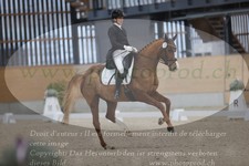 ref. photo 3379564