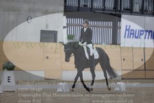 ref. photo 3379636