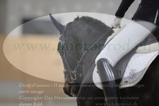 ref. photo 3379643